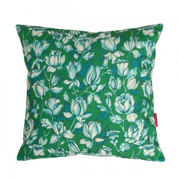 Aponi Green Aponi Caso...