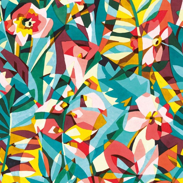 Boa Deck Canvas