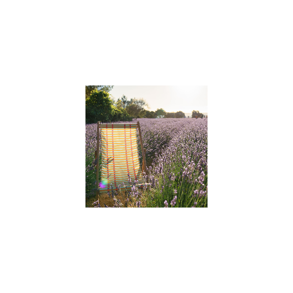 Beech Wood Deckchair MAHE brown