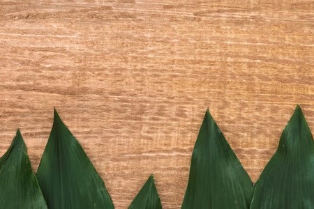 Avantages et inconvénients des matériaux comme le bois, le papier, le tissu ou le bambou dans la fabrication d’un éventail